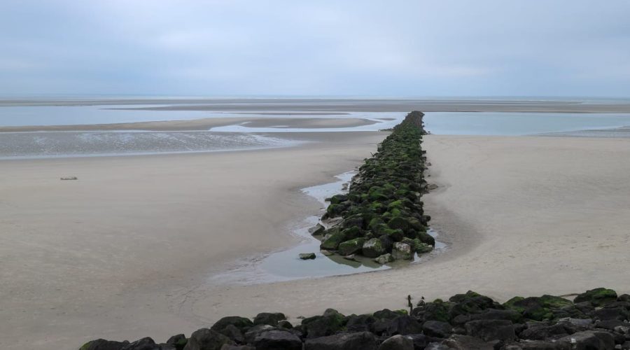 Week-end en baie de Somme : que voir en 48 heures