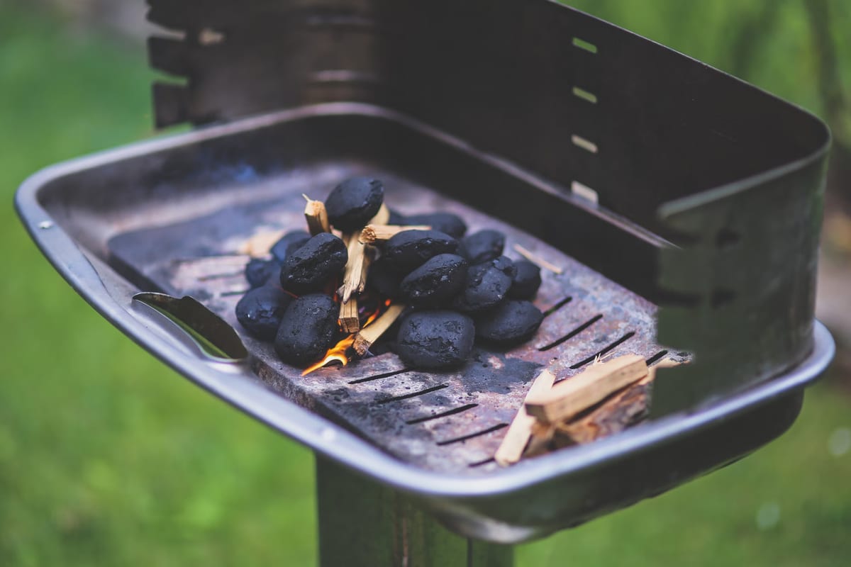 À quoi sert le charbon de bois de coco activé