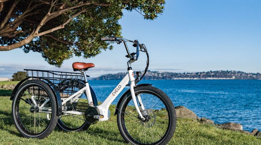Top 10 Meilleur Sterilisateur Electrique 2026