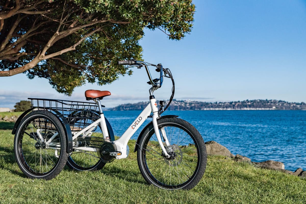 Top 10 Meilleur Sterilisateur Electrique 2026